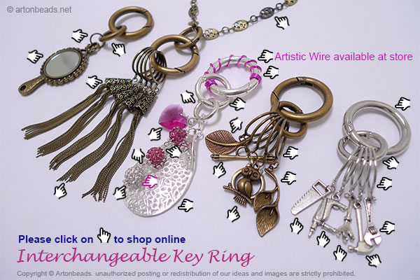 Interchangeable Key Ring