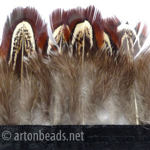 Pheasant Pad Feather - 1-1.72" - 7.5"